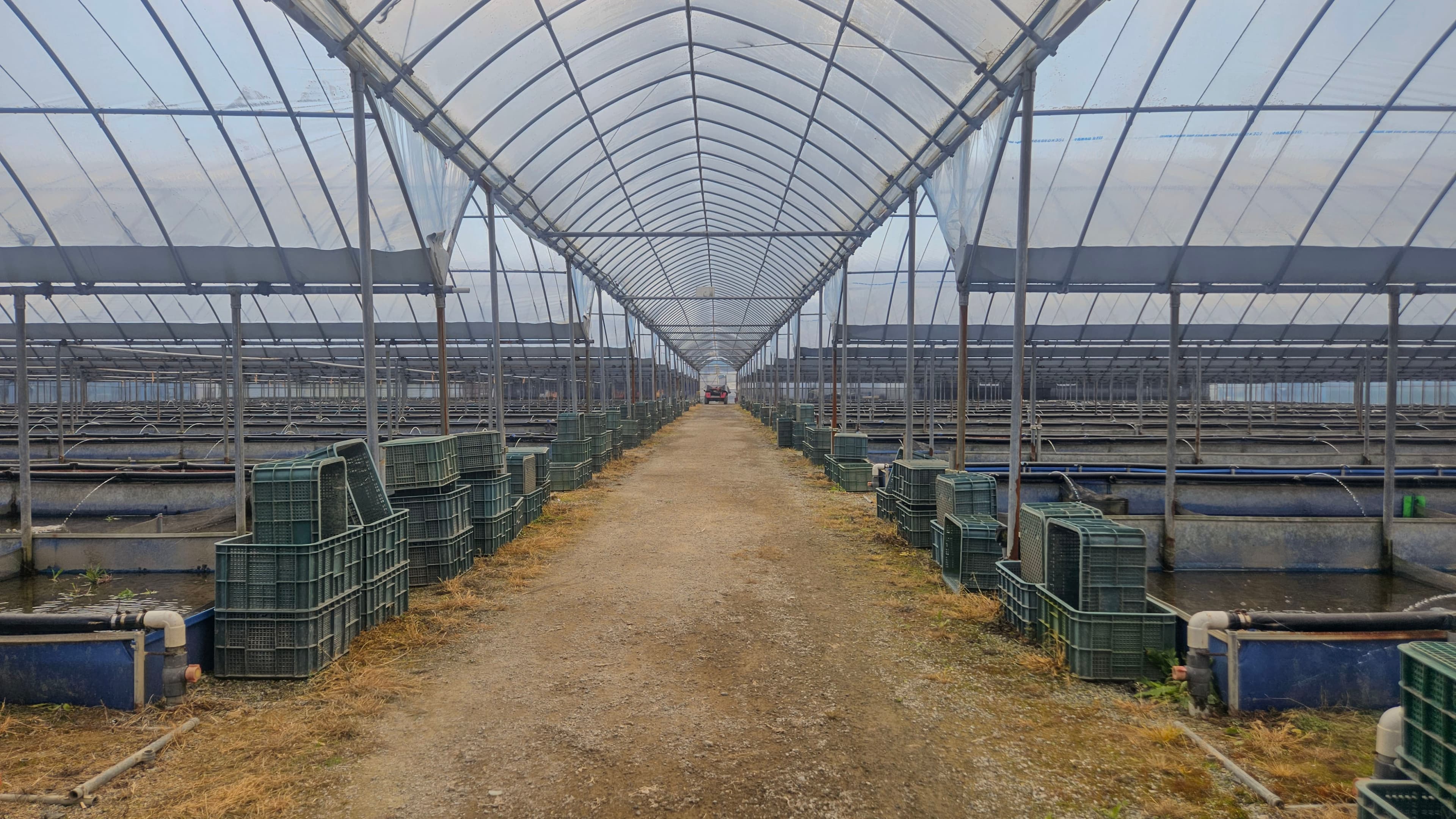 깨끗한 물에서 건강하게 키우는 양식장 전경