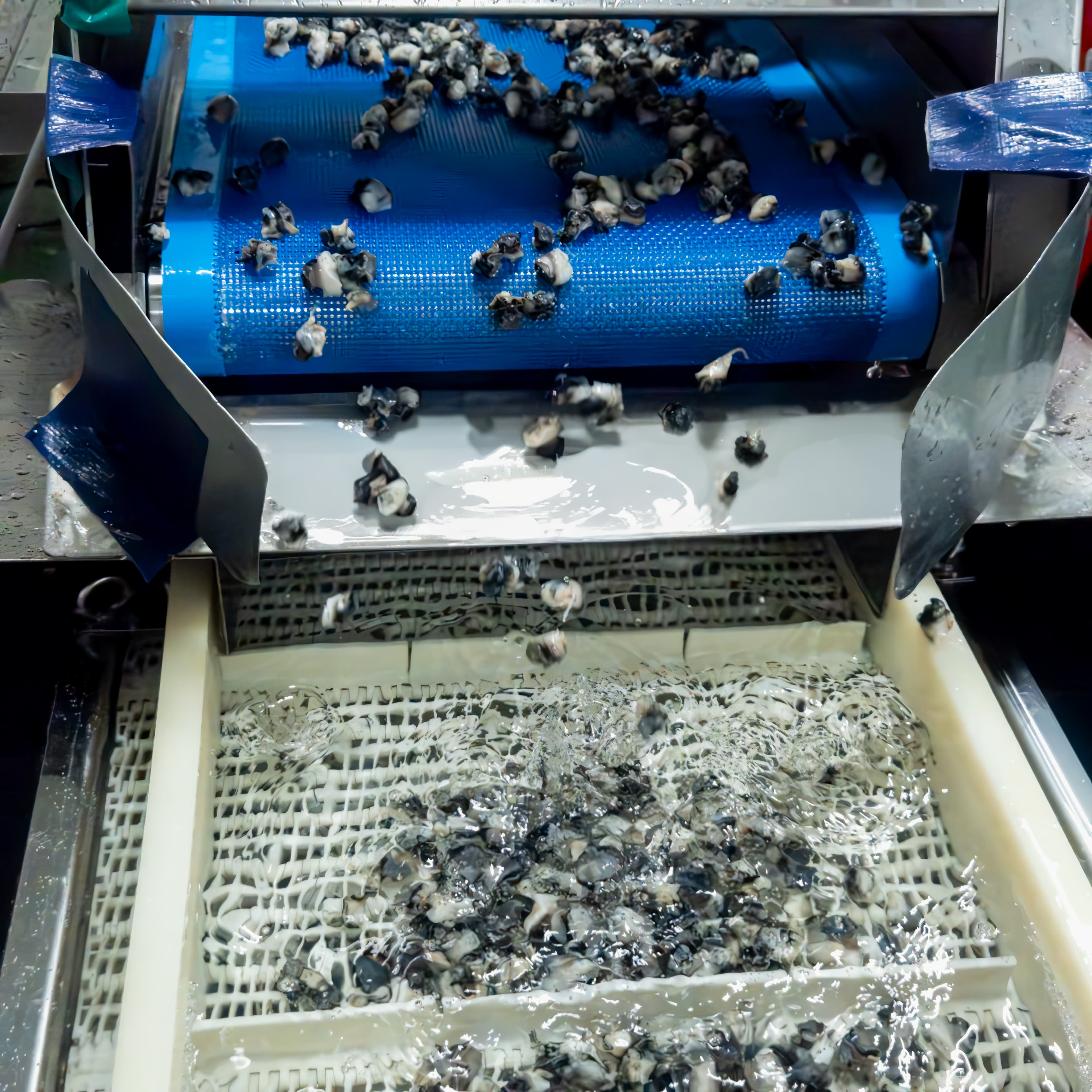 꼼꼼한 손질 과정을 거쳐 깨끗하게 준비 완료